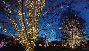 longwood gardens Christmas