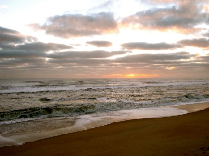 photo credit: Mary Yonkman @ tulipsflightsuits.com