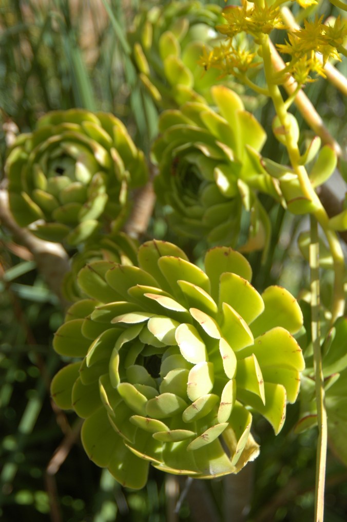 photo by Seth Nelson (my talented husband)